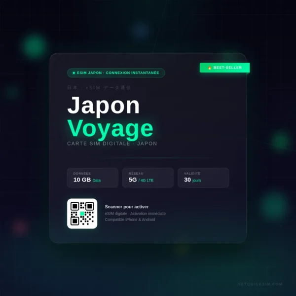 Japon Voyage – 10 GO